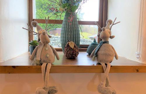 Siabod, Betws y Coed, Snowdonia 2 en-suite bedrooms - Foto 65