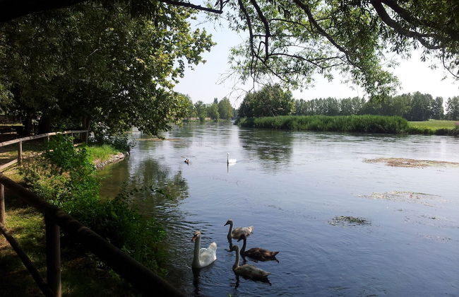 Casa Reale - Foto 41