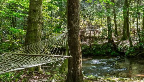 A Creek Runs Thru It - Secluded Waterfront Cabin - Foto 4