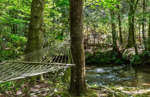 A Creek Runs Thru It - Secluded Waterfront Cabin - Foto 4