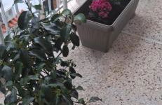 Jocasta - Cocoon Apartment Near Metro Station - Photo 2