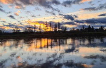 Gästehaus zum Rosengarten - Photo 37