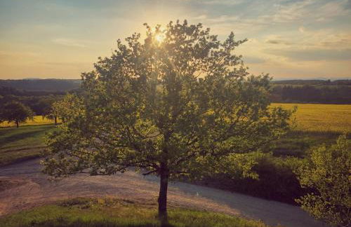 Altes Pfarrhaus Gondershausen - Foto 44