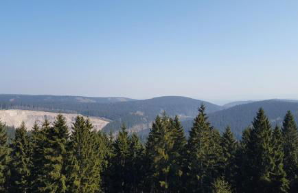 Ferienwohnung Grunwald - Foto 17