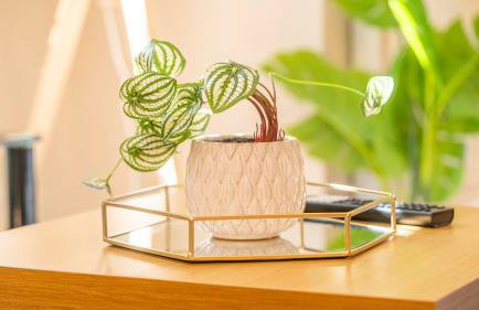 The Canal House 2BR Central Garden Parking - Photo 7