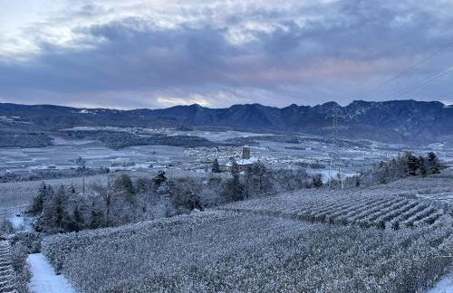 Maso Valèr - Agritur - Foto 38