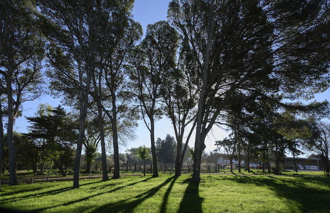 Cortijo de Guerra - Foto 21