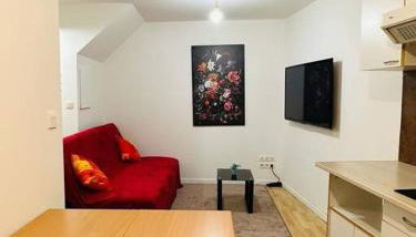 Appart T3 centre ville Castres - Photo 4