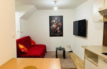 Appart T3 centre ville Castres - Photo 4