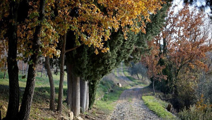 Safari enogastronomico nel Chianti - Foto 3