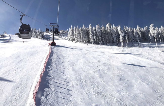 Wohnung in Lohberg Nahe Arber Skipisten - Photo 37