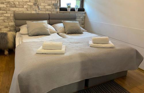 Apartament Premium 6 - Foto 18