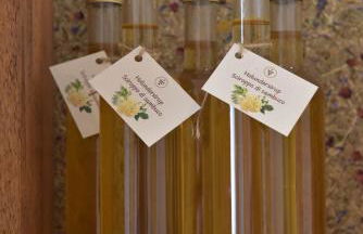 Pignathof Castanea - Foto 19