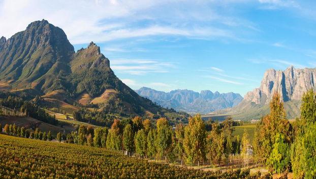 Tour privado de día completo por Cape Winelands - En inglés - Foto 3