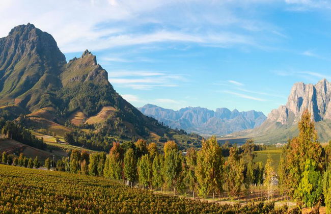Tour privado de día completo por Cape Winelands - En inglés - Foto 3
