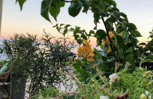 ZEN Minimal Luxury Housing Tyros - Foto 52