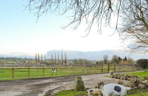 Hog Pits - 18961 - Foto 9