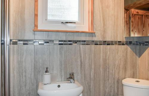 Badgers - Uk46750 - Foto 17