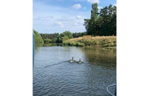 Amazing Holiday Home Near the Lake - Foto 36