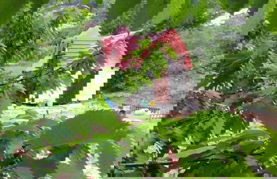 Immaculate 2-bed Cottage Near Krka Waterfalls - Foto 12