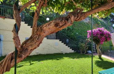 Casa Vacanze Vista Mare ad Acciaroli località Mezzatorre - Foto 44