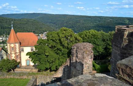 Historisches Ferienhaus Veste Dilsberg - Foto 33