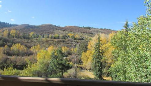 Beaver Creek, Avon condo, walk to ski shuttle - on the Eagle River - Foto 3