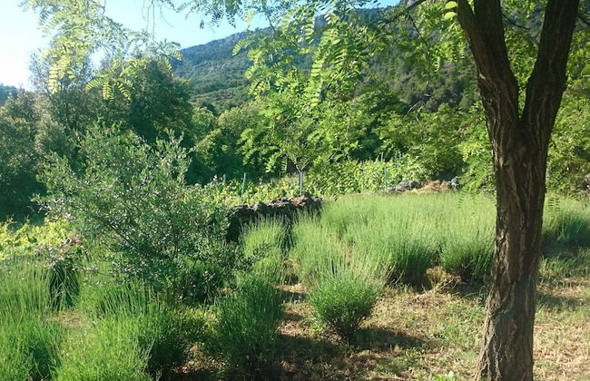 House Pod Humom - Foto 33