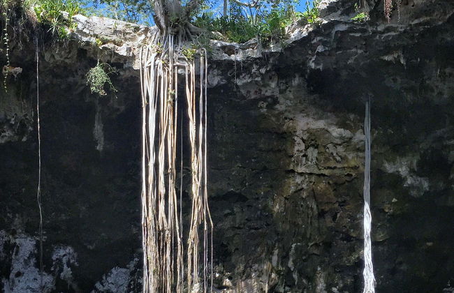 Excursión a los cenotes de Santa Bárbara - Foto 1