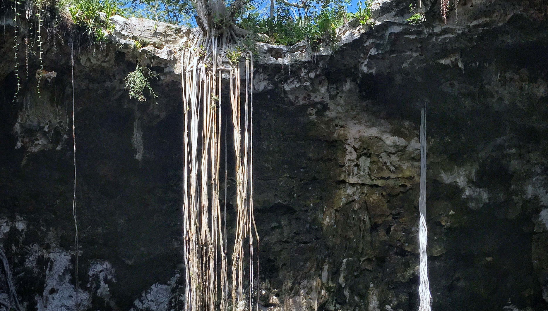Santa Barbara Cenotes Day Trip