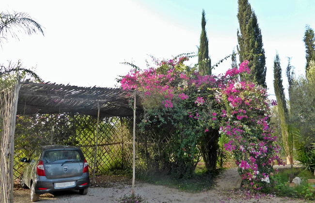 Le Jardin aux Etoiles - Foto 48