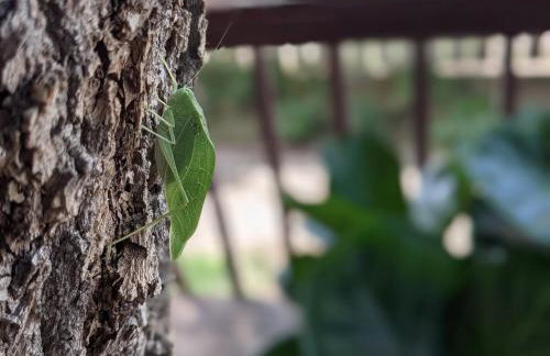 Mountain Jungalow Chalet, 3 min walk to Royal Gorge Train - Foto 16