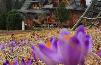 Domek Kojsówka - Foto 3