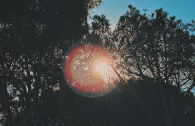 CAN ROMY APPARTEMENT T1 C - à 80m de la plage de Cala Montgo - Foto 16