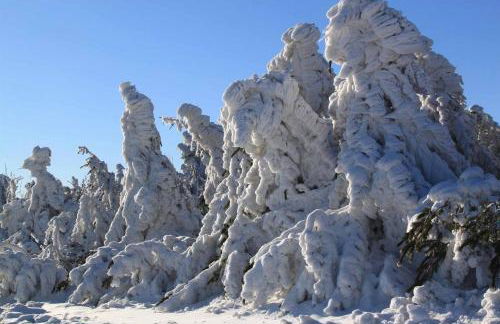 Ferienwohnung LEICHT - Foto 22