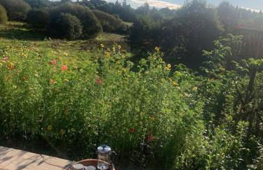 Charming stone Bothy at Loch Lomond - Foto 19