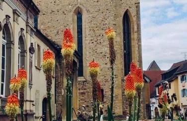 Les gites de la poterne - Foto 22