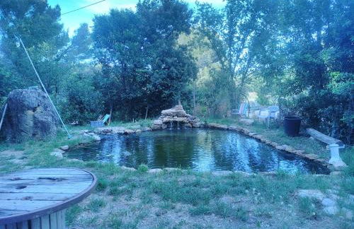 Sous un chêne bicentenaire - Foto 28