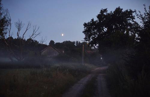 Dębinówka - Foto 12