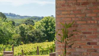 Casa, sítio, aconchegante no Vale dos Vinhedos. - Foto 3