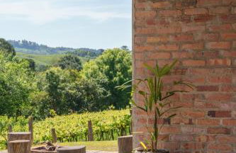 Casa, sítio, aconchegante no Vale dos Vinhedos. - Foto 3