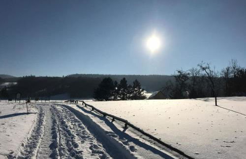 Holiday Home am Weiher by Interhome - Foto 35