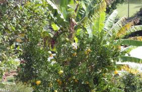 Casa Agradável com piscina. - Foto 24