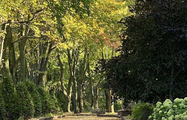 Château Venise - Foto 68