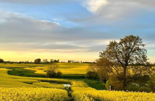 Min lütt hütt - Photo 8