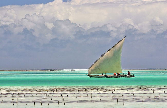 Modern Beach House, Excellent Beachfront, Private Chef, Pool - Foto 16