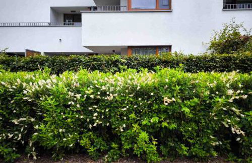 Awangarda - Photo 28