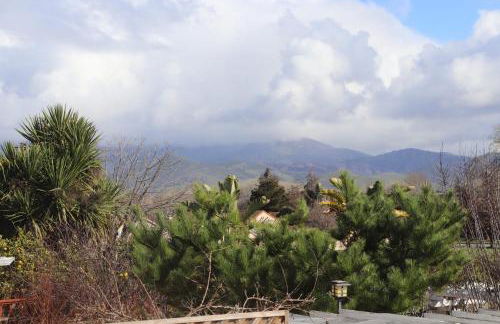 Monte Vista - Foto 5