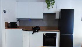 BauHaus Torino - Foto 4