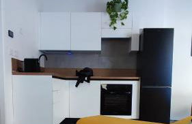 BauHaus Torino - Foto 4